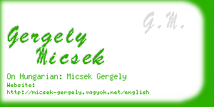 gergely micsek business card